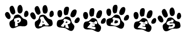The image shows a series of animal paw prints arranged in a horizontal line. Each paw print contains a letter, and together they spell out the word Paredes.