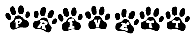 The image shows a series of animal paw prints arranged in a horizontal line. Each paw print contains a letter, and together they spell out the word Privett.