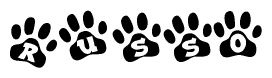 The image shows a series of animal paw prints arranged in a horizontal line. Each paw print contains a letter, and together they spell out the word Russo.