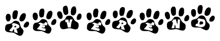 The image shows a series of animal paw prints arranged in a horizontal line. Each paw print contains a letter, and together they spell out the word Reverend.