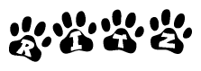 The image shows a row of animal paw prints, each containing a letter. The letters spell out the word Ritz within the paw prints.