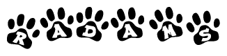 The image shows a series of animal paw prints arranged in a horizontal line. Each paw print contains a letter, and together they spell out the word Radams.