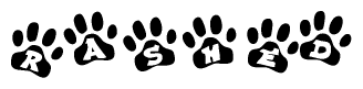 The image shows a series of animal paw prints arranged in a horizontal line. Each paw print contains a letter, and together they spell out the word Rashed.