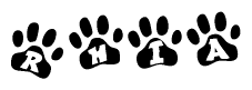 The image shows a row of animal paw prints, each containing a letter. The letters spell out the word Rhia within the paw prints.