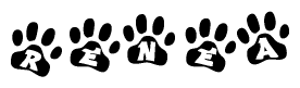 The image shows a series of animal paw prints arranged in a horizontal line. Each paw print contains a letter, and together they spell out the word Renea.