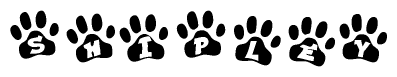 The image shows a row of animal paw prints, each containing a letter. The letters spell out the word Shipley within the paw prints.
