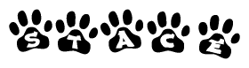 The image shows a row of animal paw prints, each containing a letter. The letters spell out the word Stace within the paw prints.