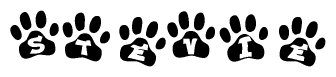 The image shows a series of animal paw prints arranged in a horizontal line. Each paw print contains a letter, and together they spell out the word Stevie.