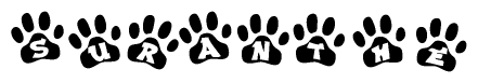 The image shows a series of animal paw prints arranged horizontally. Within each paw print, there's a letter; together they spell Suranthe