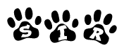 The image shows a row of animal paw prints, each containing a letter. The letters spell out the word Sir within the paw prints.