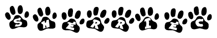 The image shows a series of animal paw prints arranged in a horizontal line. Each paw print contains a letter, and together they spell out the word Sherriec.