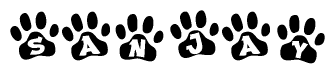 Animal Paw Prints with Sanjay Lettering