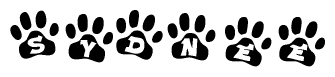 The image shows a series of animal paw prints arranged horizontally. Within each paw print, there's a letter; together they spell Sydnee