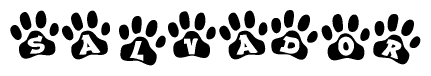 Animal Paw Prints Spelling Salvador
