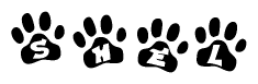 Animal Paw Prints with Shel Lettering