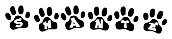 The image shows a series of animal paw prints arranged in a horizontal line. Each paw print contains a letter, and together they spell out the word Shante.