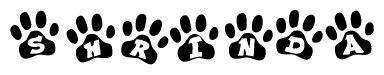 The image shows a series of animal paw prints arranged in a horizontal line. Each paw print contains a letter, and together they spell out the word Shrinda.
