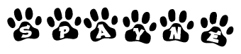 The image shows a series of animal paw prints arranged in a horizontal line. Each paw print contains a letter, and together they spell out the word Spayne.