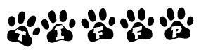 The image shows a series of animal paw prints arranged horizontally. Within each paw print, there's a letter; together they spell Tiffp