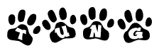 The image shows a series of animal paw prints arranged in a horizontal line. Each paw print contains a letter, and together they spell out the word Tung.