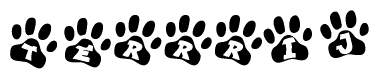 The image shows a series of animal paw prints arranged horizontally. Within each paw print, there's a letter; together they spell Terrrij