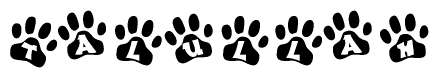 The image shows a series of animal paw prints arranged in a horizontal line. Each paw print contains a letter, and together they spell out the word Talullah.