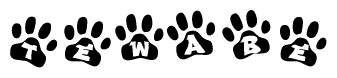 The image shows a series of animal paw prints arranged in a horizontal line. Each paw print contains a letter, and together they spell out the word Tewabe.