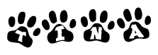 The image shows a series of animal paw prints arranged in a horizontal line. Each paw print contains a letter, and together they spell out the word Tina.