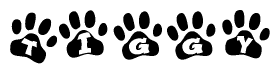   The image shows a row of animal paw prints, each containing a letter. The letters spell out the word Tiggy within the paw prints. 