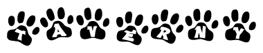 The image shows a row of animal paw prints, each containing a letter. The letters spell out the word Taverny within the paw prints.