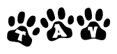 The image shows a series of animal paw prints arranged horizontally. Within each paw print, there's a letter; together they spell Tav