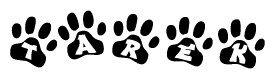 The image shows a series of animal paw prints arranged in a horizontal line. Each paw print contains a letter, and together they spell out the word Tarek.