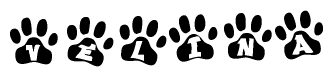 The image shows a series of animal paw prints arranged in a horizontal line. Each paw print contains a letter, and together they spell out the word Velina.