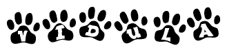 The image shows a series of animal paw prints arranged in a horizontal line. Each paw print contains a letter, and together they spell out the word Vidula.
