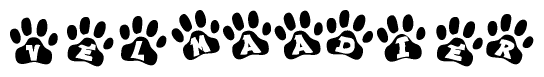 The image shows a series of animal paw prints arranged horizontally. Within each paw print, there's a letter; together they spell Velmaadier