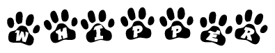 The image shows a series of animal paw prints arranged in a horizontal line. Each paw print contains a letter, and together they spell out the word Whipper.