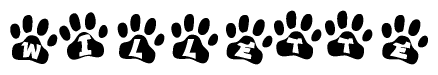 The image shows a series of animal paw prints arranged in a horizontal line. Each paw print contains a letter, and together they spell out the word Willette.