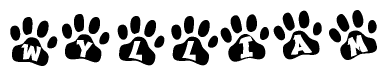 The image shows a series of animal paw prints arranged horizontally. Within each paw print, there's a letter; together they spell Wylliam