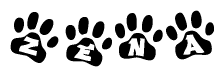 The image shows a series of animal paw prints arranged in a horizontal line. Each paw print contains a letter, and together they spell out the word Zena.