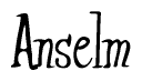 The image is a stylized text or script that reads 'Anselm' in a cursive or calligraphic font.