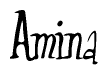 The image contains the word 'Amina' written in a cursive, stylized font.