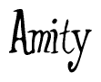 The image is of the word Amity stylized in a cursive script.
