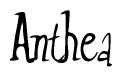 The image is a stylized text or script that reads 'Anthea' in a cursive or calligraphic font.