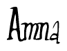 The image is of the word Amna stylized in a cursive script.