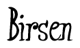The image is a stylized text or script that reads 'Birsen' in a cursive or calligraphic font.