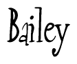 The image contains the word 'Bailey' written in a cursive, stylized font.