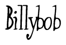 The image contains the word 'Billybob' written in a cursive, stylized font.