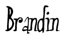 The image is a stylized text or script that reads 'Brandin' in a cursive or calligraphic font.