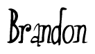 The image contains the word 'Brandon' written in a cursive, stylized font.
