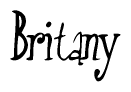 The image is of the word Britany stylized in a cursive script.